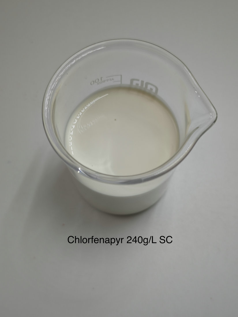 Chlorfenapyr 240g/L SC